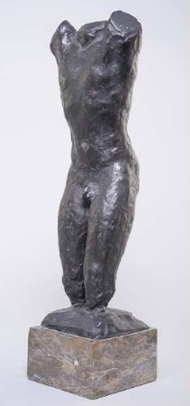Torso Inder