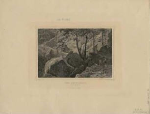 Ansicht vom Amselfall, Stahlstich, 1862 : Amselfall / C. Koehler delt. Joh. Falkner sculpt. - Darmstadt : Lange , [1862]. - 1 Kunstbl. : Stahlst. ; 16 x 10 cm