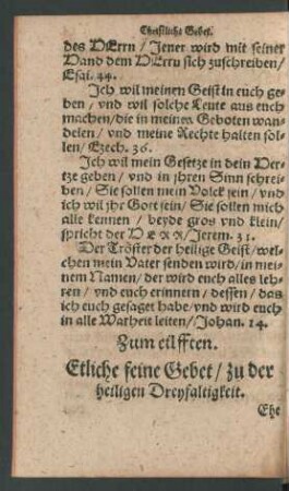 Zum eilfften.