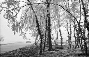 Ettenheim: Parkplatz im Rauhreif