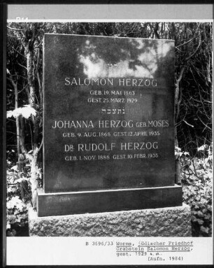 Grabstein von Salomon Herzog (gestorben 1929.03.25)