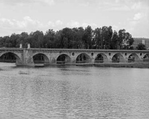 Puente de Palmas