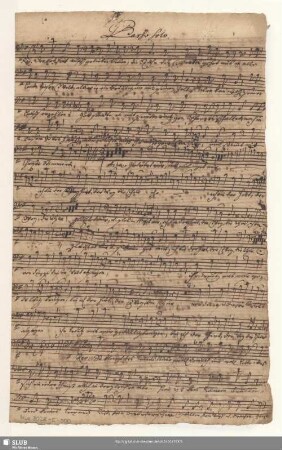 Basso Solo.