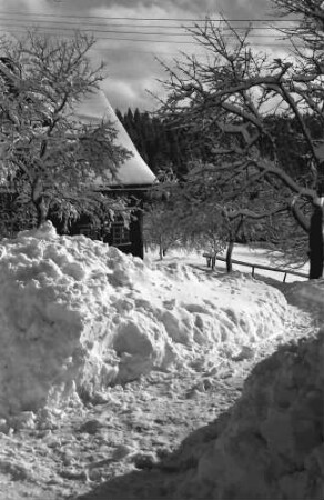 St. Märgen: Verschneiter Weg; links Haus