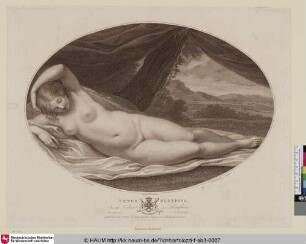 Venus sleeping