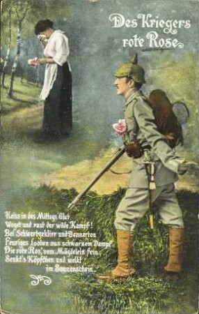Des Kriegers rote Rose