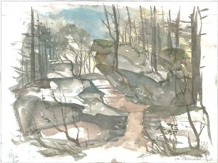 Gsaenger, Gustav; Berchtesgadener Land (Bayern); Zauberwald - Studie
