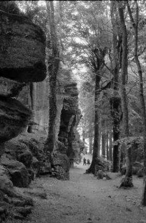 St. Odile: Waldweg der Stationen und Felsen des Odilienbergs