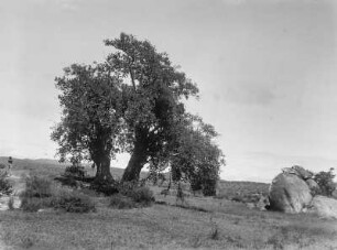 Landschaftsaufnahme : Landschaft bei Mbulu südlich Oldeanis.