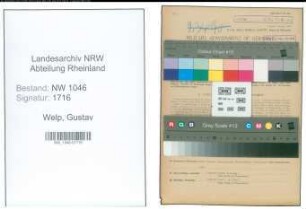 Entnazifizierung Gustav Welp , geb. 08.07.1901 (Krankenpfleger)
