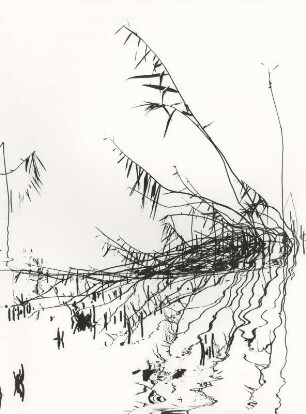 Binsen am Bodensee, grafisch