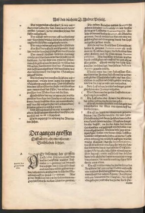 Der gantzen grossen Lufftadern abcontrafactur/ Buchstaben zeyger.