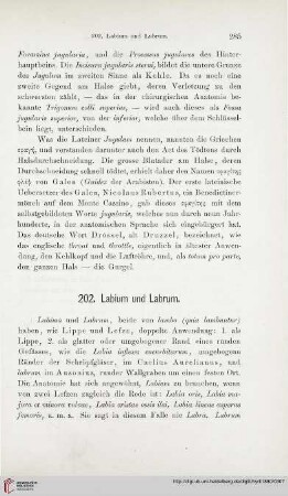 202. Labium und Labrum – 217. Lyra und Psalterium