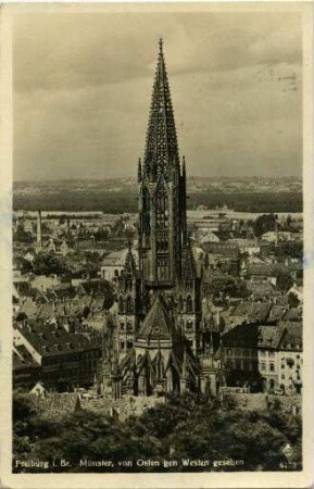 Freiburger Münster