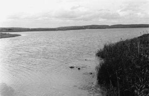 Federsee : Eine offene Wasserfläche des Federsees