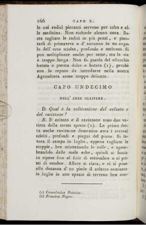 Capo Undecimo. Dell' Erbe Oleifere.