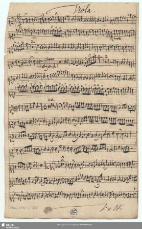 Viola. [1ma]