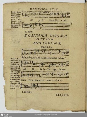 Dominica decimaoctava post trinitatis