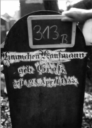 Grabstein 313 (Index: 100111990) Material: Sandstein Zustand: leicht verwittert Maße HxBxT: 140x59x30 cm Beschreibung: Stele, profilierter Sockel, eingezogener Rundbogenabschluß mit Verdachung, rechteckiges Schriftfeld eingetieft: Grabstein 313B