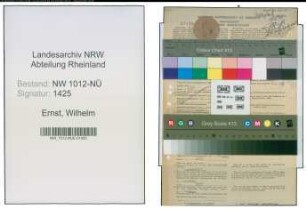 Entnazifizierung Wilhelm Ernst , geb. 19.01.1909 (Schlosser)