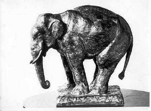 Pendelnder Elefant (Indischer Elefant)