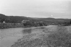 Hinter der Donauversickerung : Der Uferbereich der Donau hinter der Versickerungsstelle