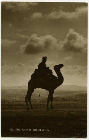The Ship of the Desert. [Kamele, Postkarte an Gustaf Dalman]