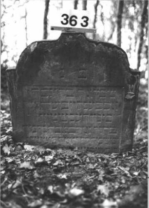 Grabstein 363 (Index: 99898383) Material: Sandstein Zustand: stellenweise verwittert, eingesunken Maße HxBxT: 71x72x8 cm Beschreibung: Stele mit eingezogenem Segmentbogenabschluss, eingesunken Besonderheit: Kindergrab?: Grabstein 363