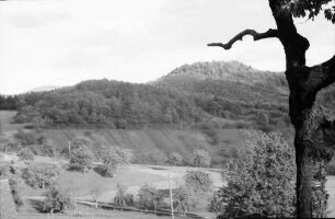 Sitzenkirch: Blick zur Sausenburg (Ast zeigt drauf), St. Johannis Breitehof