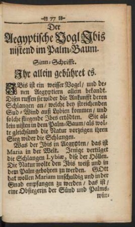 Der Aegyptische Vogl Ibis nistend im Palm-Baum