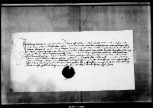Jörg Blank, Bürger zu Ulm, quittiert für 78 fl. 4 ß, die Graf Ulrichs V. Räte seit Jakobi 1463 bei ihm verzehrt haben.
