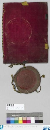 Kaiser Joseph I. bestätigt den der Stadt Nürnberg am 5. April 1699 erteilten, (wörtlich eingeschalteten) Exspektanzbrief auf die Leonrod'schen Reichslehen und Nürnberg.