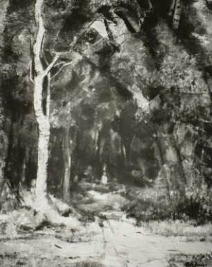 Der Waldweg