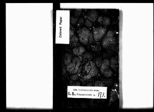 Konsensbuch von Neubau (bei Frauenstein)
