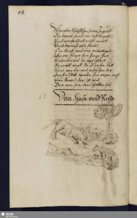 8. Vonn Haße vnnd Neyde