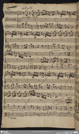 Salve Regina