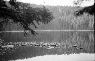 Mummelsee: Rund um den See; Seeufer, Steine am Seeufer