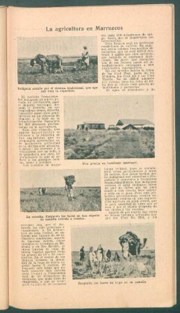 La agricultura en Marruecos