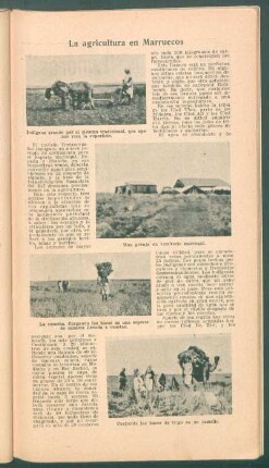 La agricultura en Marruecos