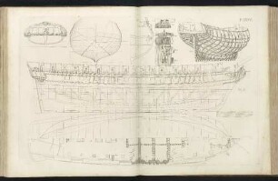 Pl. XXXVI. Nr. 5.
