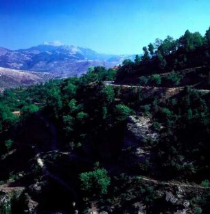 Peloponnes. Straße bei Agois Petros im Parnon-Gebirge