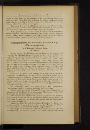 Naturgeschichte der Cledeobia moldavica Esp. (Microlepidoptera.)