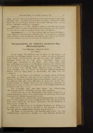 Naturgeschichte der Cledeobia moldavica Esp. (Microlepidoptera.)