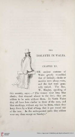 The toilette in Wales