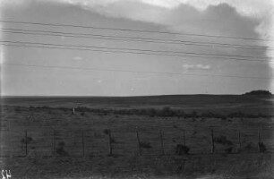 Landschaftsaufnahme : Landschaftsaufnahme. Im Hintergrund ein kleiner Hain.