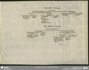 Tab. XXII. ad §. 347