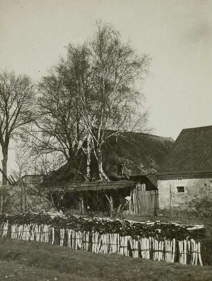 Königswartha-Caminau, Reisigbündel und Schichtholz vor einem Gehöft