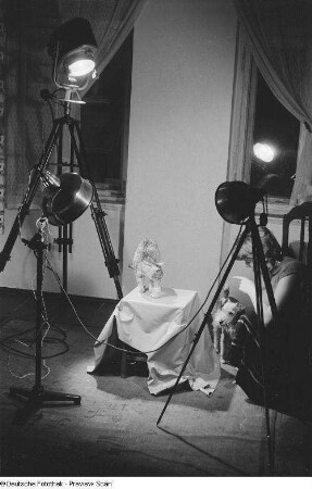 Renate Rössing mit Katze und Hund im Fotostudio