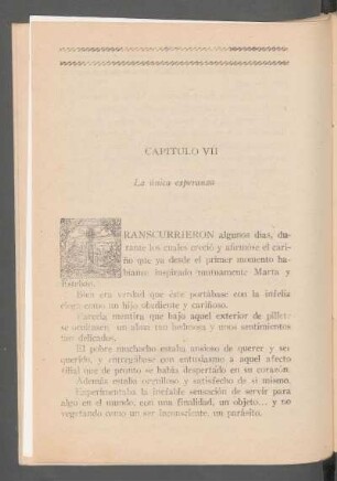 Capítulo VII - La única esperanza