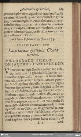 Exercitatio XXX. Lacertarum genitalia. Cicuta terrestris. Joh. Conrado Peiero Joh. Jacobus Harderus S. P. D.